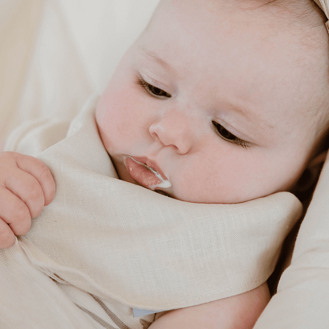 Linen Drool Bib | Bark - Afternoon Lark